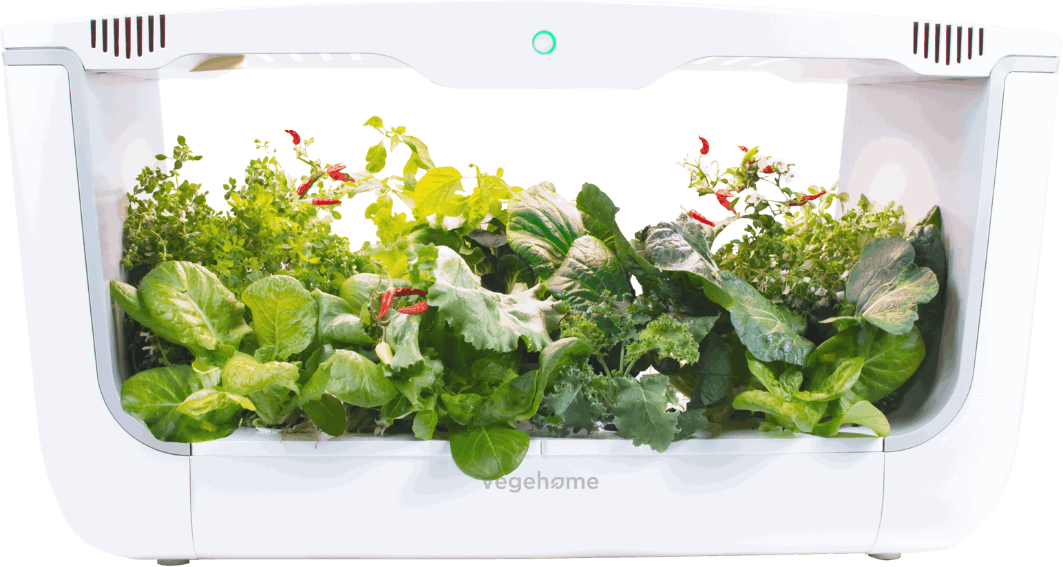 simply-salad-alfresco-vegehome-pods-info